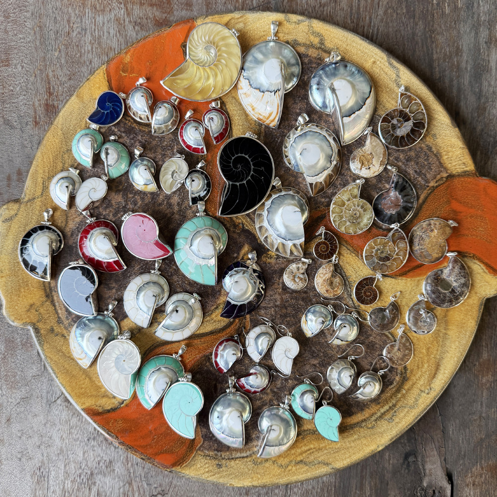 泰国手工天然海洋海螺贝壳化石925银饰吊坠螺旋美学自然诗意情侣,饰品/流行首饰/时尚饰品新,项坠/吊坠,淘宝优惠券,粉丝福利购,淘宝优惠卷