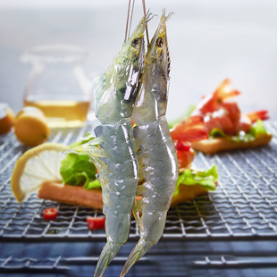 渔公码头盐冻海捕大虾渤海湾大虾新鲜活冻对虾无冰大连海鲜水产