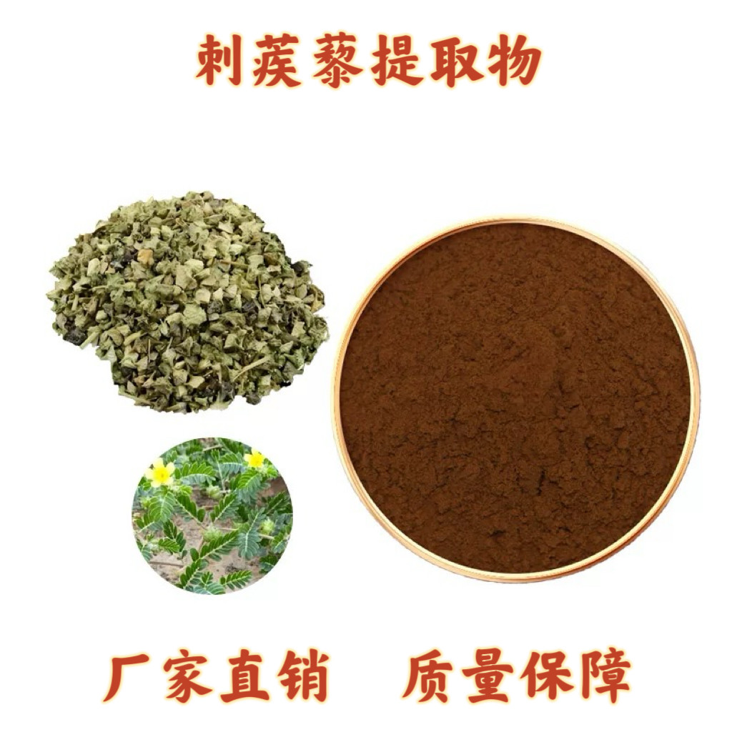 刺蒺藜皂甙粉 刺蒺藜提取物皂苷90%促进雄性激素促睾丸促睾酮健身