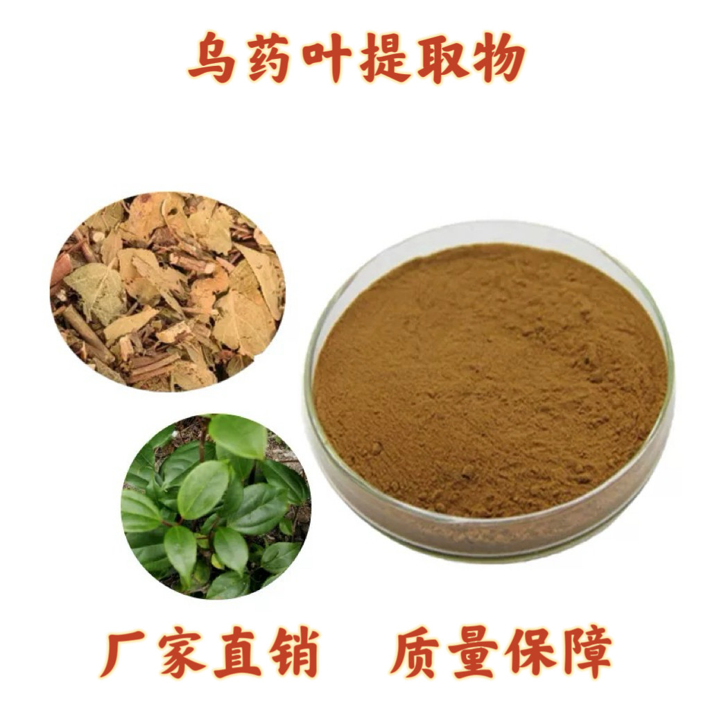 乌药叶提取物 乌药根乌药叶浓缩提取精华提取物 比例萃取 赠勺子