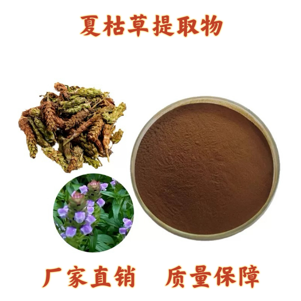 夏枯草提取物 20:1 夏枯草粉现货 夏枯草浸膏浓缩提取物粉 包邮