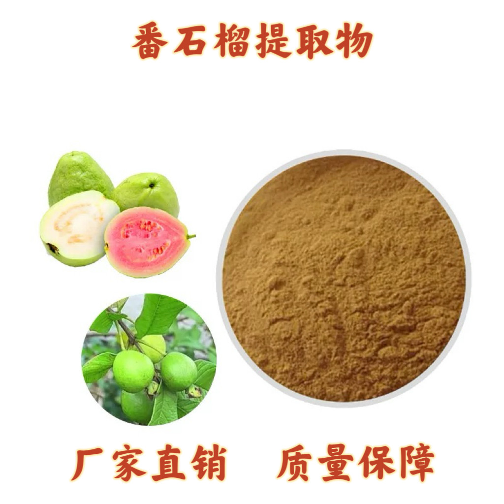 番石榴提取物 30:1浸膏粉植物提取水溶性浓缩粉工厂直发赠量勺