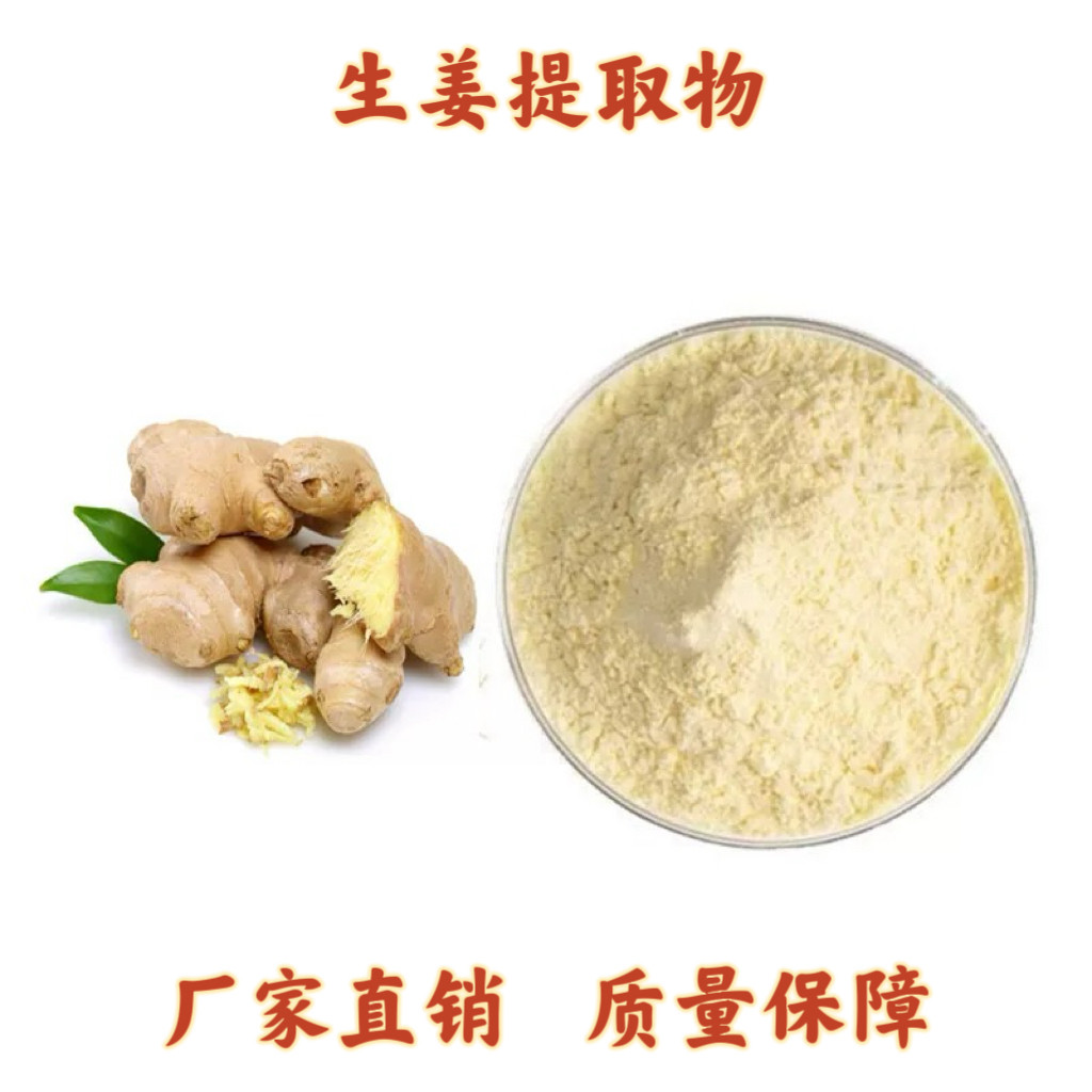 生姜提取物10:1 另有姜辣素5% 多规格现货 生姜速溶粉黄姜提取物