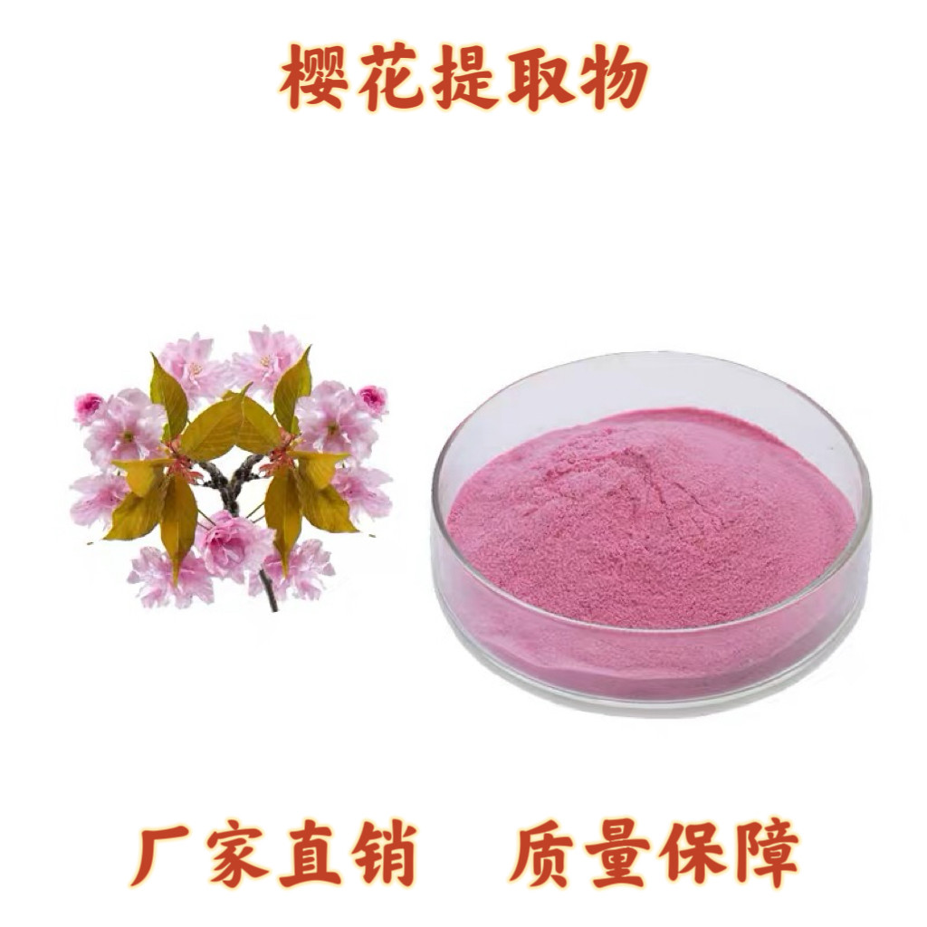 樱花提取物 樱花粉30:1樱花精华粉 植物萃取比例精华浓缩粉包邮