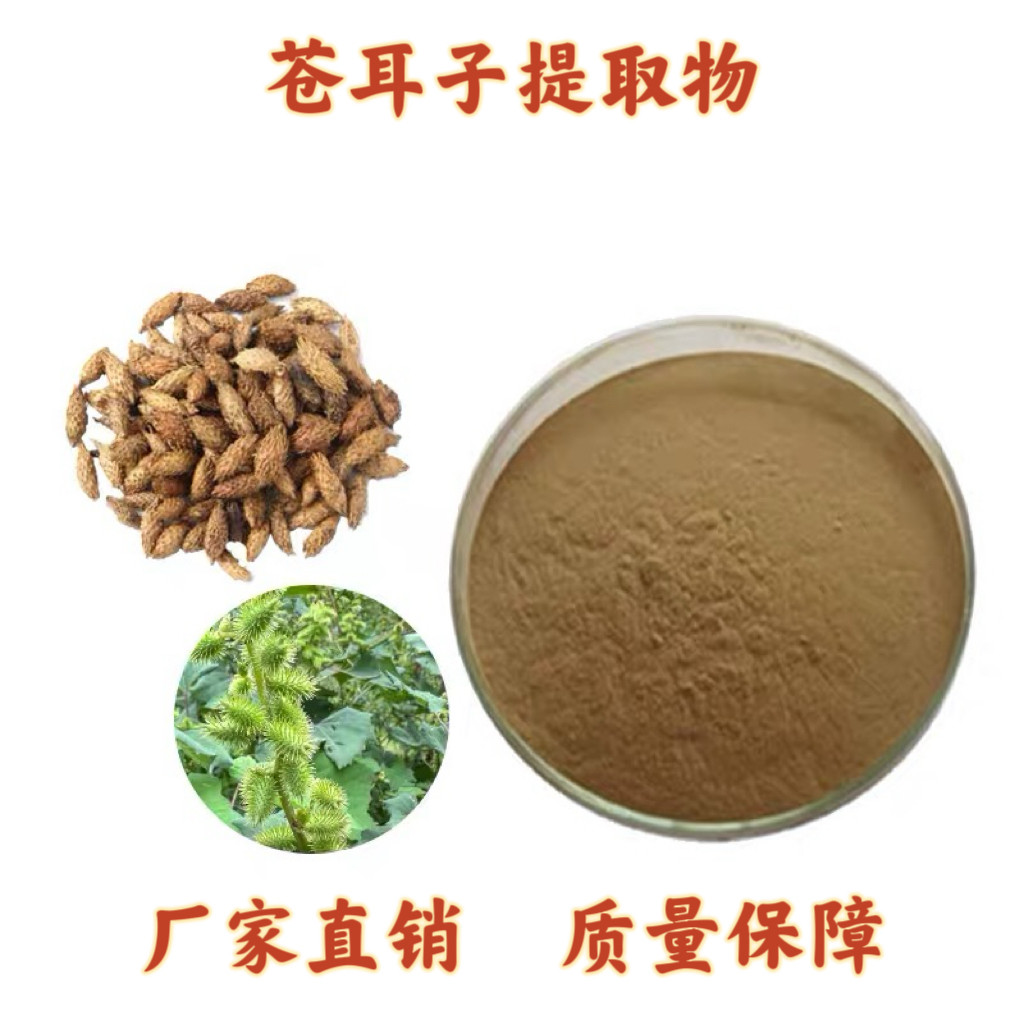 苍耳子提取物30:1 苍耳子粉 天然植物提取物浓缩粉末 赠量勺速发