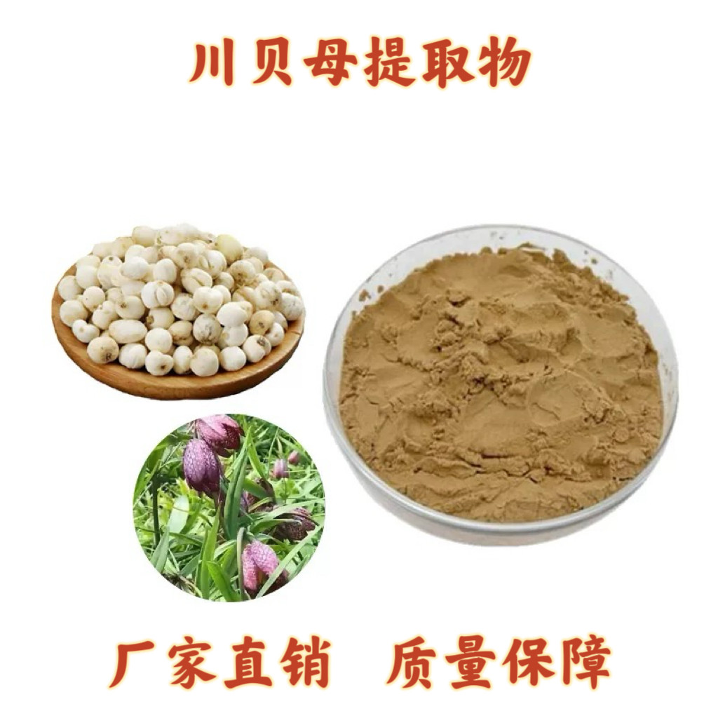 川贝母提取物30:1贝母碱卷叶贝母浓缩粉末精华高品质现货源头工厂