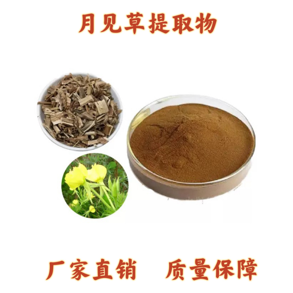 月见草提取物 待霄草山芝麻月见草γ-亚油酸浓缩提取粉末现货速发