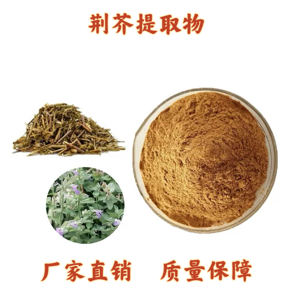 荆芥提取物30:1 荆芥粉荆芥皂甙浓缩粉末 源头工厂天然萃取提取物