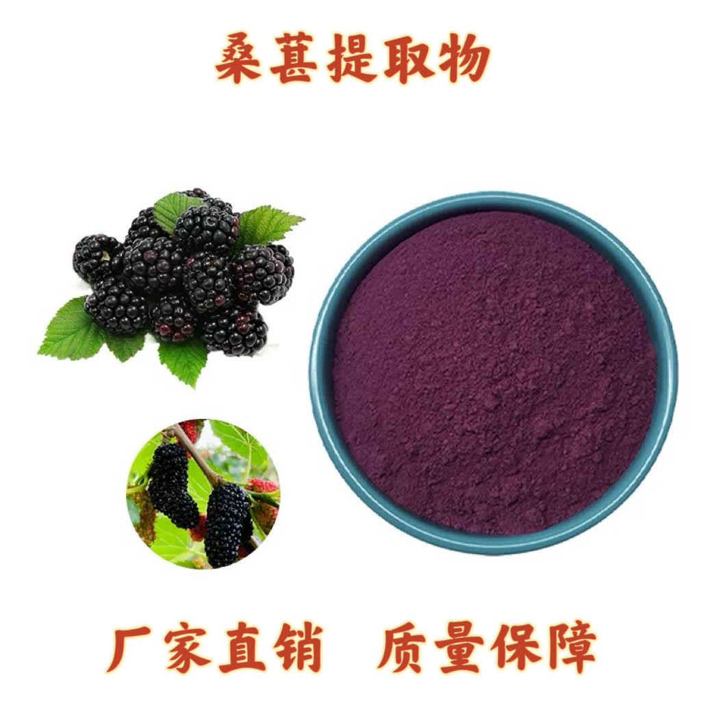 桑葚提取物粉 花青素25% 出口级植物干果桑葚提取物浓缩精华水溶