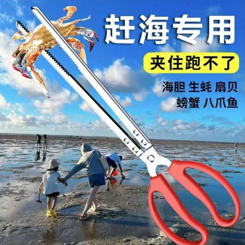 黄鳝夹子赶海捕鱼螃蟹夹
