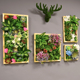 仿真绿植多肉装 饰框植物壁挂背景墙面鹿头墙P壁挂件立体客厅餐厅