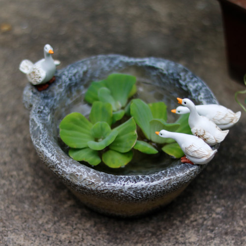 创意铜钱草碗莲水培小白鸭子花盆摆件个性装饰仿石臼X多肉盆栽礼