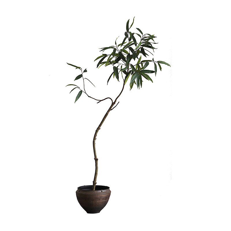 侘寂风仿真绿色植物物长叶榕金属锈色陶瓷客厅转角装饰W品摆件民