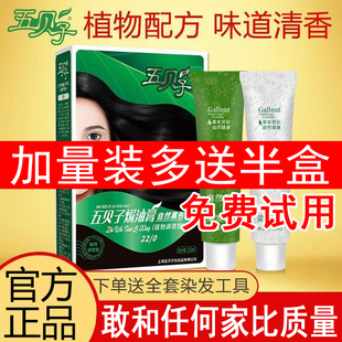 五贝子植物自己在家染发剂官方旗舰店正品染发膏纯黑茶补发根神器