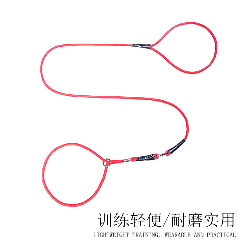 一体式牵手宝宝雪纳瑞p链狗狗图片