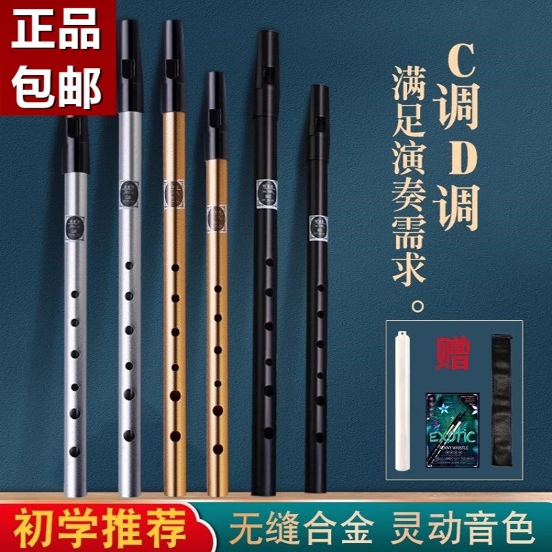 爱尔兰哨笛初学者入门金属哨笛6孔C/D调高音金属专业直竖笛子乐器