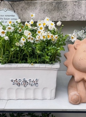 白色长方盆34*24*20 一个