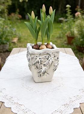 四方亮白色 23*30 红陶花盆 种球 郁金香 朱顶红花盆