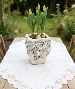 四方亮白色 23*30 红陶花盆 种球 郁金香 朱顶红花盆