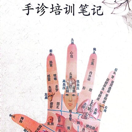 手诊笔记本,包含左手右手，80页32K 这是本子,不是书,空白本子