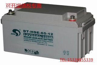 赛特BT-HSE-65-12蓄电池12V65AH程控交换机直流屏UPS电源铅酸电瓶