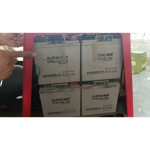 旭派蓄电池XPEP12-30中立合力杭叉小金刚电动叉车蓄电池6-EVF-24