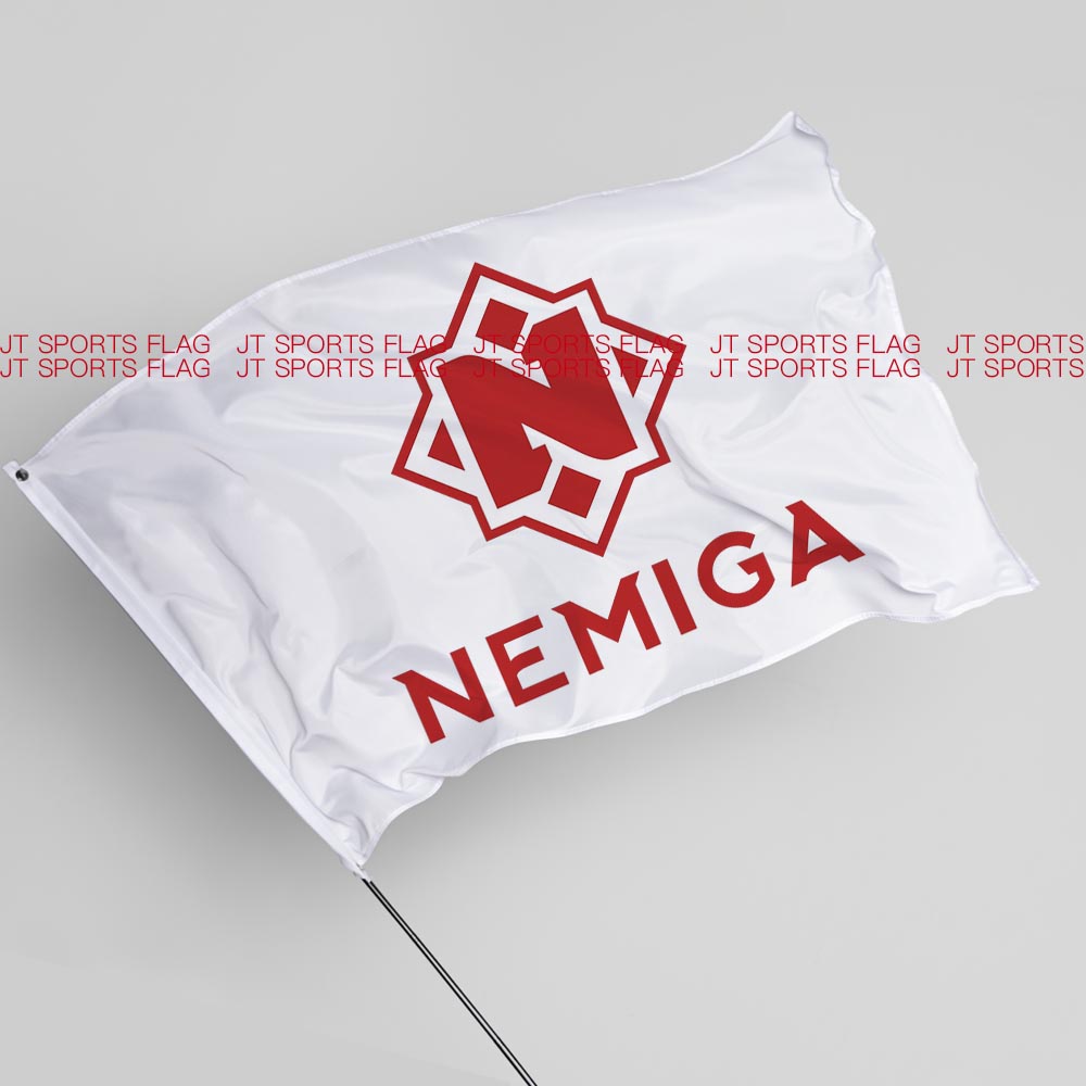 刀塔DOTA2 内米加游戏 Nemiga Gaming电子竞技俱乐部战队