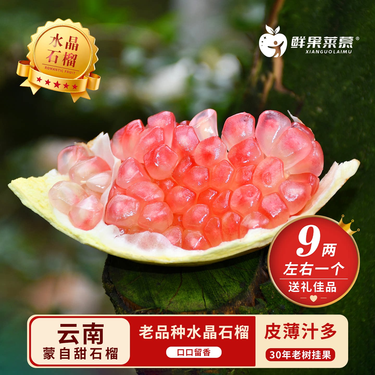 鲜果莱慕 云南蒙自老树水晶甜石榴绿籽皮薄多汁孕妇应季新鲜水果