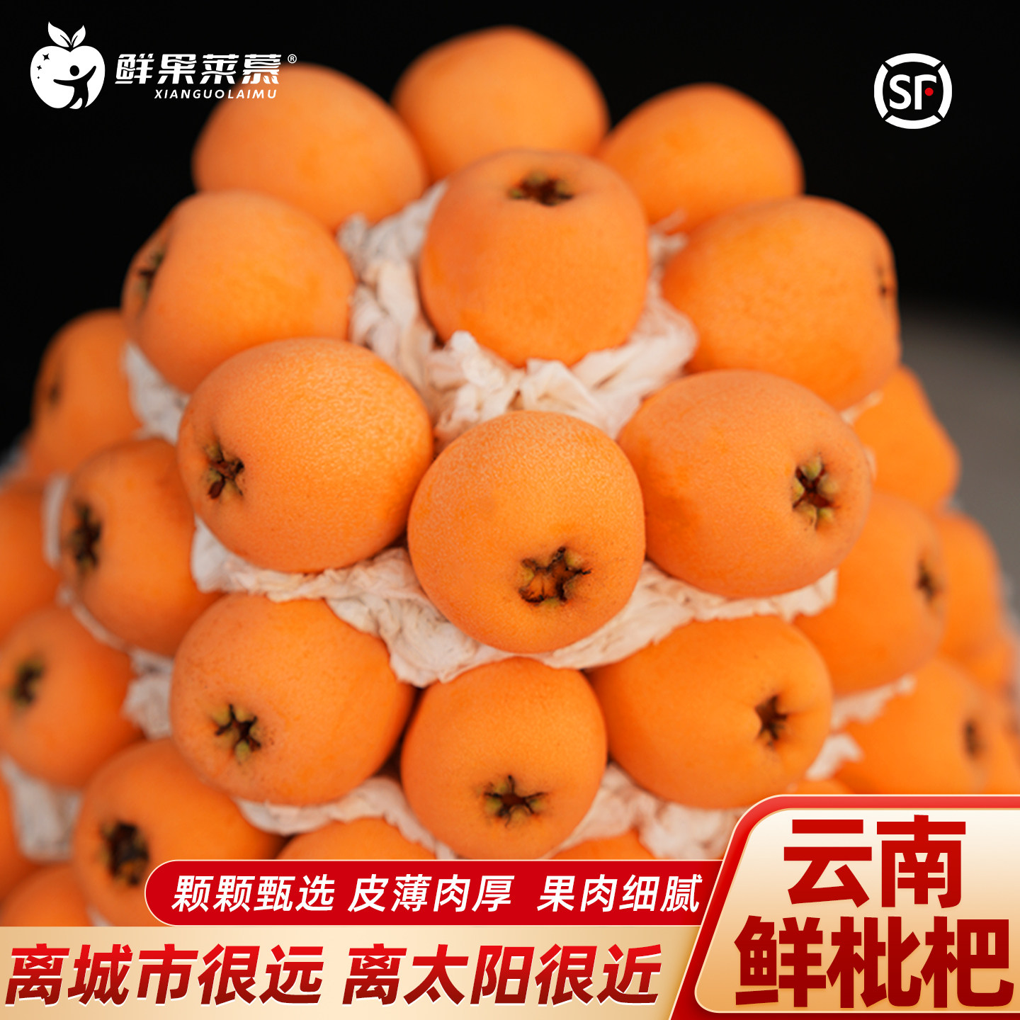 云南大五星枇杷现摘当季新鲜水果枇杷