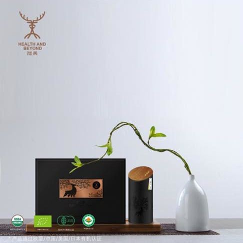 拙美  ●  普洱茶正心240g