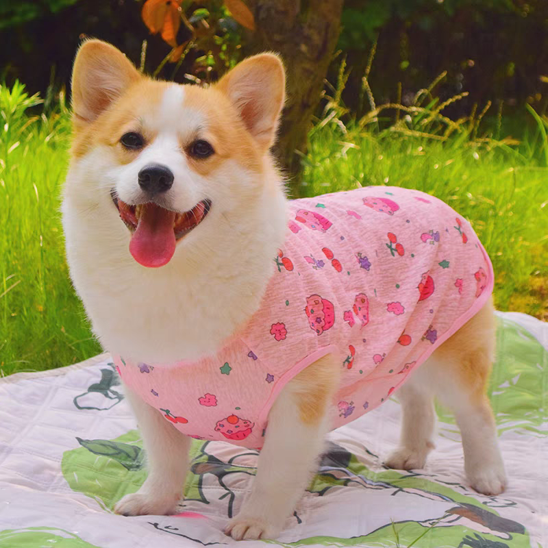 小型犬碎花公主裙猫咪2025春款泰迪新款宠物可爱狗狗裙子夏季