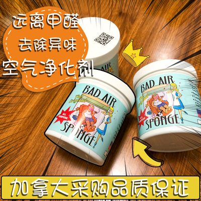 现货美国badairsponge空气净化剂