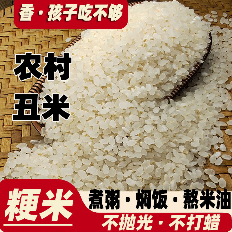 东北大米2025年珍珠香粳米长粒香大米稻花香胚芽米特不抛光圆粒级