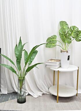 仿真叶假zj56461植物把束小龟鸟巢八金背盘观音莲叶插花叶材装饰