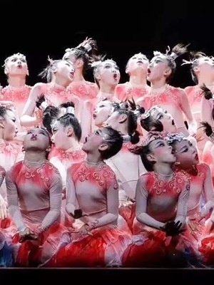 小荷风采女童鲤鱼跃龙门演出服