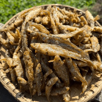 油酥嫩子鱼湖南新化本地特产小鱼干农家自制淡水河酥脆下饭小鱼在