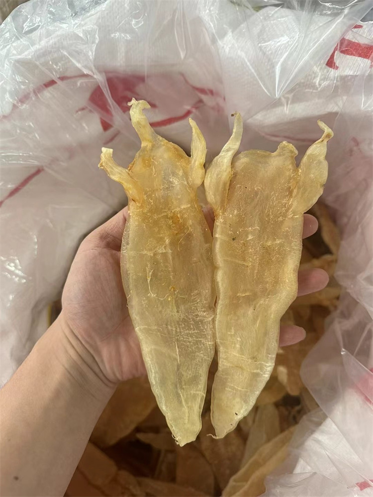 7-8头巴西北海鱼胶  深海花胶 美容产后术后滋补 正品干货