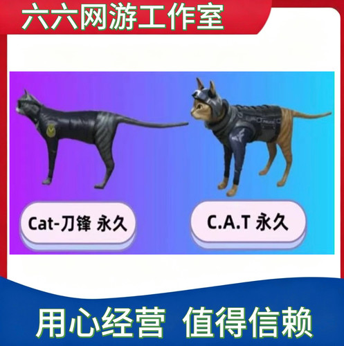 CF穿越火线CAT刀锋永久猫枪不是英雄武器斯太尔蝴蝶萌兔