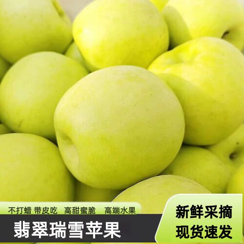 正宗瑞雪苹果纯甜花香味平果新鲜水果现摘青苹果孕妇水果产地直发