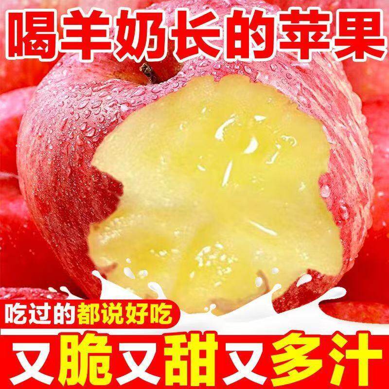 万荣新鲜红富士苹果羊奶苹果脆甜冰糖心丑苹果10斤整箱孕妇水果