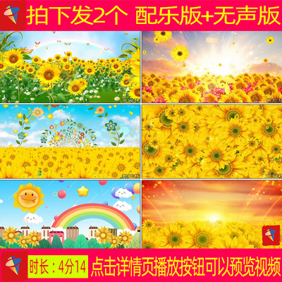 花儿朵朵向太阳 配乐伴奏舞台表演晚会大屏幕led背景视频素材