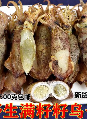 中号籽乌干新鲜海兔子笔管鱼满籽500g包邮带籽乌贼海鲜干货