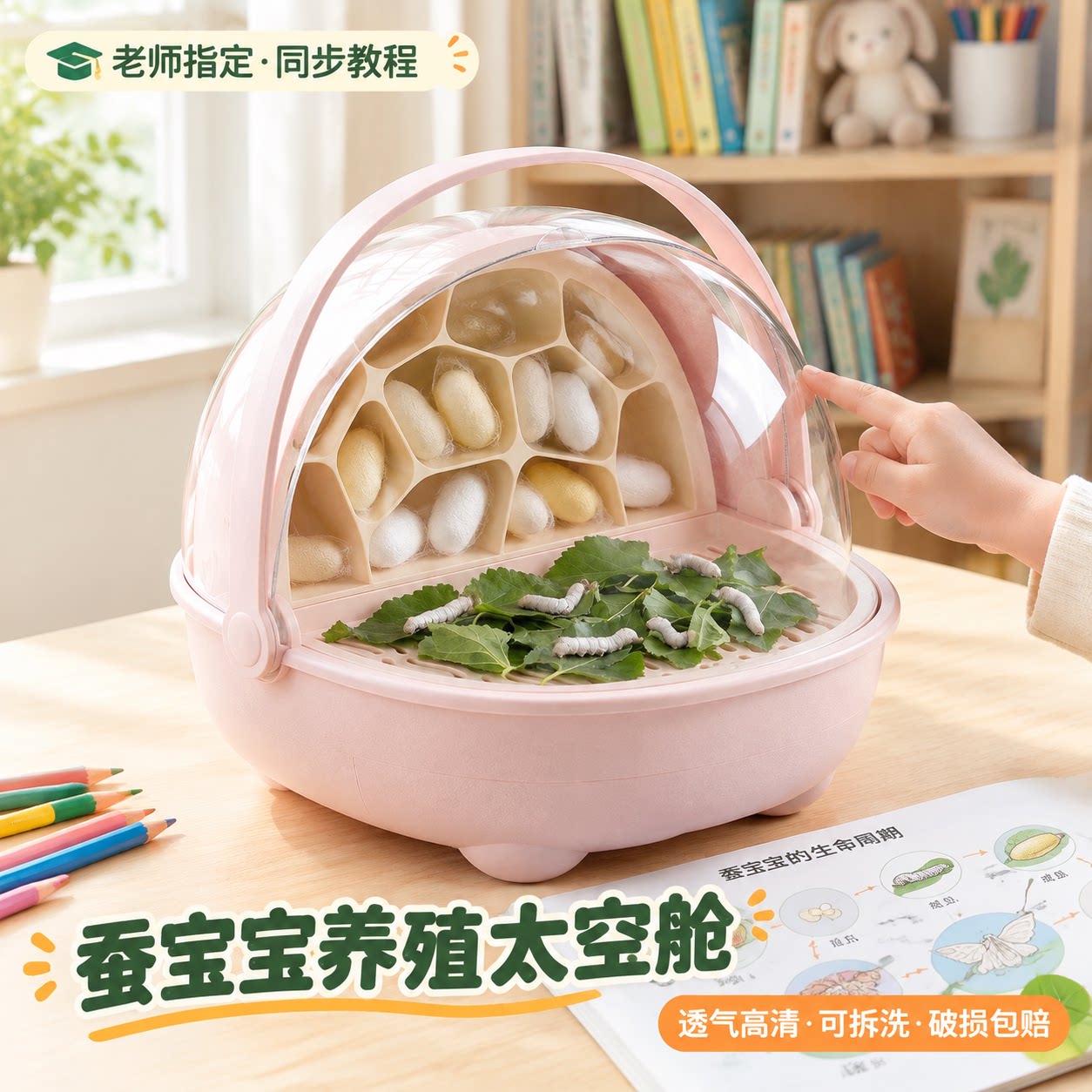 学生蚕宝宝太空舱透气全景天窗