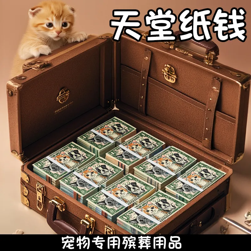 宠物殡葬中元头七祭奠用品纸币