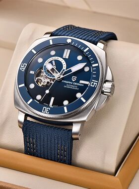 PAGANI DESIGN Brand Sports Men Mechanical Watch Fashion Sapp