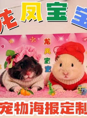 仓鼠龙凤宝宝宠物墙画贴画来图定制海报老式宝宝贴纸卧室挂画猫咪