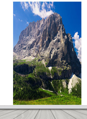 竖版大山高山风景墙贴画家用背景墙装饰画靠山招财自然景观自粘画