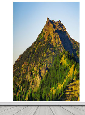 竖版高山大山风景墙贴画客厅背景墙装饰画靠山招财自然景观贴纸画
