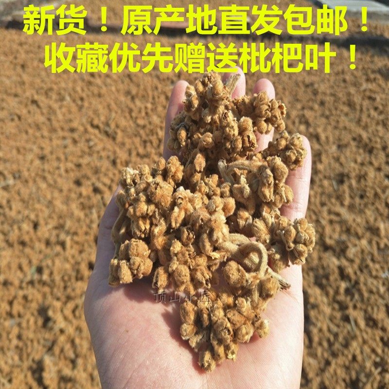 新花新货云霄农家自晒 枇杷花干 500g一斤包邮琵琶花枝条煲汤煮水