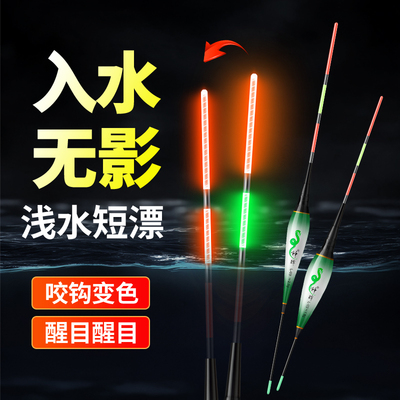 水无影咬钩变色浅水夜光漂短小